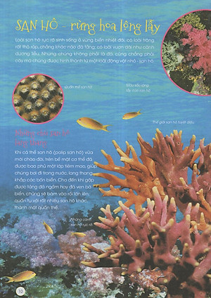 Sách Động Vật Xinh Đẹp