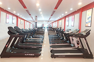 Máy Chạy Bộ ELIP Q72 Đa Năng, Gấp Gọn, Giảm Xóc Êm Ái, Có Thanh Gập Bụng, Đai Massage