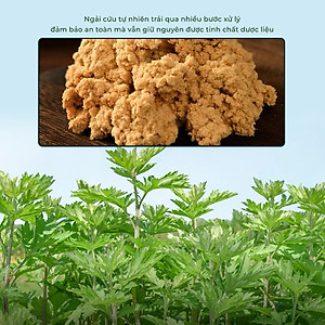 Thảm Ngải Cứu Sưởi Ấm, Giảm Đau Nhức Xương Khớp Mùa Lạnh