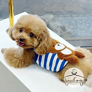 ÁO DÂY PHOM CROPTOP GẤU CUTE CHO THÚ CƯNG CHÓ MÈO