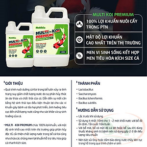 Vi sinh nước MultiBio Multi Koi Premium men tiêu hóa đậm đặc xử lý bể cá lớn ao hồ ngoài trời