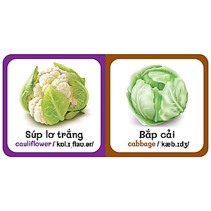 Sách - combo 9 Quyển Từ Điển Bằng Hình Đầu Tiên Của Bé Từ 0-6 tuổi - Song Ngữ Anh- Việt (Các trang đều là Bìa Cứng - màu vàng )