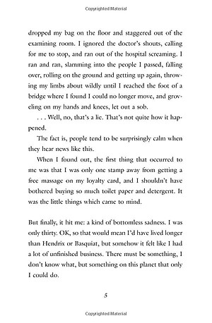 If Cats Disappeared From The World