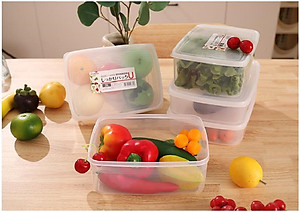 Bộ 04 hộp thực phẩm chữ nhật Nakaya (830ml + 1300ml + 2000ml + 3000ml) hàng nội địa Nhật Bản