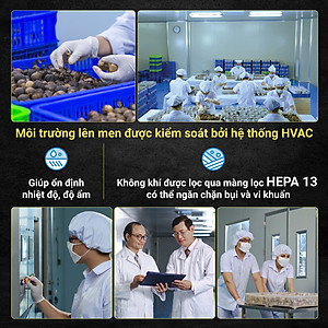 Tỏi Đen Cô Đơn - Combo 4 Hộp Tỏi Kim Cương Đông Á 200g - SX theo công nghệ Nhật Bản, hỗ trợ tốt cho sức khỏe - Kiểm nghiệm chất lượng bởi Bộ Y Tế, Intertek