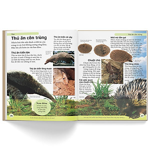 Sách Bách Khoa Cho Trẻ Em - Bách Khoa Động Vật (Tái Bản)