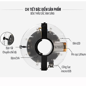 Đèn Led Gắn Bánh Xe Đạp 7 Màu (Trục Giữa phi 19-36mm) Có Sạc Điện USB Chống Nước Trang Trí Cho Xe Đạp Người Lớn Mai Lee