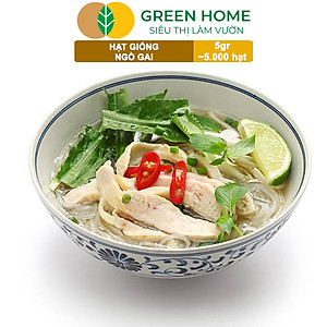 Hạt Giống Ngò Gai Greenhome, Gói 5gr~5000 hạt, Mùi Tàu, Dễ Trồng Quanh Năm, Nảy Mầm Cao, Thu Hoạch Nhanh, Năng Suất Cao G08