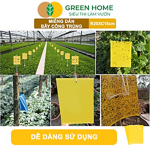 Bộ 10 Miếng Dán Bẫy Côn Trùng GreenHome, R20xC15cm, 2 Mặt, Hiệu Quả, Tiết Kiệm Chi Phí, Dễ Sử Dụng