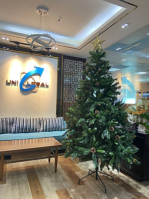 Cây thông noel 3 loại lá gắn trái thông - Cây thông đẹp Tán dày đều, cây thông chắc chắn và dể tháo lắp