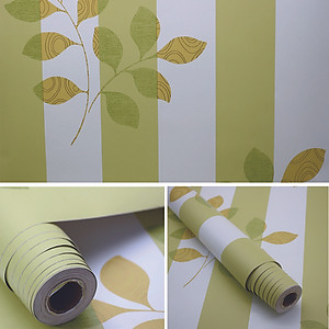 Giấy dán tường Sọc Xanh Lá Phong Cách Hàn Quốc Khổ 10M WP0422 HPMWallpaper