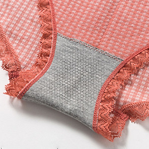 Combo 5 Chiếc Quần Lót Nữ Cotton Tăm Viền ren Xuất Nhật