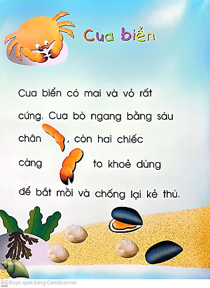 Vừa Học Vừa Chơi: Động Vật Dưới Biển - Sách Bóc Dán (Tái Bản 2020)