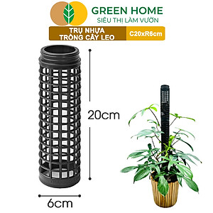 Trụ nhựa trồng cây, D20xR6cm, nhựa cứng, có khớp dễ nối dài, chuyên hệ cây leo, trầu bà, kiểng lá |Greenhome