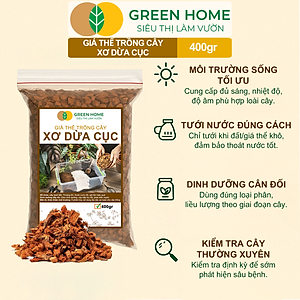 Xơ Dừa Cục Greenhome, Bao 400gr, Giá Thể Đã Qua Xử Lý, Size 1-2cm, Viên Đều Đẹp, Sạch Khuẩn, Trồng Kiểng Lá, Lan