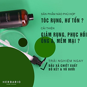 Bộ đôi Dầu Gội bồ kết & vỏ bưởi herbario 300ml + Dầu Xả Bồ Kết & vỏ bưởi Herbario 300ml (TẶNG xịt dưỡng tóc pomelo herbario 100ml)