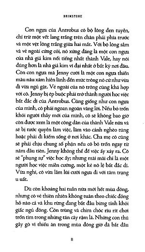 Sách Sự Thật Về Hòn Đá Phù Thủy