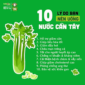 Bột cần tây sấy lạnh Dalahouse 60g (20 gói tiện dụng)