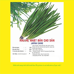 Hạt giống hẹ Nhật Bản cao sản năng suất cao VTP32