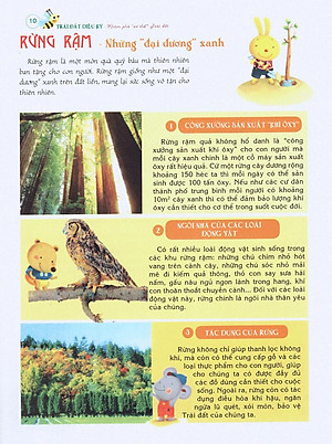 Sách Bách Khoa Tri Thức Đầu Đời Cho Trẻ Em - Trái Đất Diệu Kỳ - Khám Phá "Cơ Thể" Trái Đất