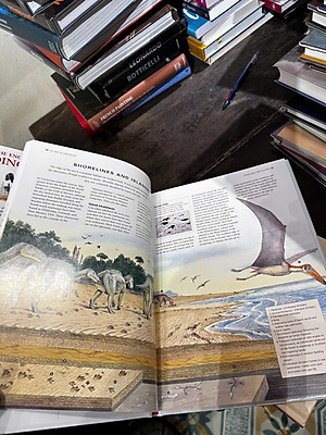 Sách - The Encyclopedia of Dinosaurs by Dougal Dixon - Sách về khủng long, tiếng anh