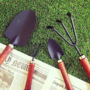 Dụng cụ làm vườn cây cào đất 3 chân Echo làm từ thép cao cấp không gỉ cứng cáp - made in Japan
