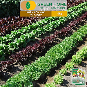 Phân Bón NPK 17-17-17, Greenhome, Gói 1kg, Bung Chồi Đọt, Thúc Nút Kim, Tạo Mầm Dưỡng Hoa