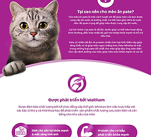 Pate Cho Mèo Con Vị Cá Ngừ Whiskas Kitten Hộp 12 Gói 80g 