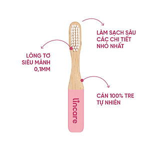 Combo Cốc nguyệt san Lincup & Bàn chải vệ sinh Lincare Brush