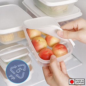 Hộp nhựa đựng thực phẩm nắp déo Fitin Pack các cỡ nội địa Nhật Bản