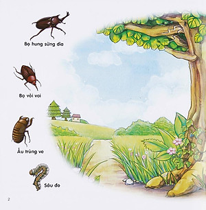 Sách Chú Mèo Kẹo Bi Phiêu lưu Trong Xứ Sở Côn Trùng (Tập 3): Trên Cây