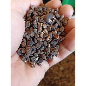 Đặc Sản Kon Tum - (Được Xem Hàng) Amakong  chính hiệu đóng Gói 1Kg Hút Chân Không - OCOP 3 Sao