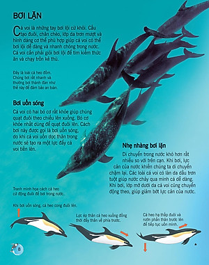 Sách Bách Khoa Tri Thức Về Khám Phá Thế Giới Cho Trẻ Em - Cá Voi Và Cá Heo (Tái Bản 2018)