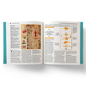 Sách Y học - Khái lược những tư tưởng lớn