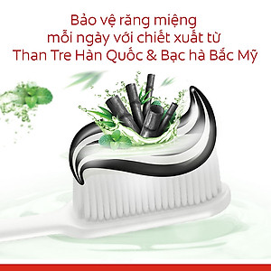 Bộ 3 Kem đánh răng Colgate Than tre sạch thuần khiết từ Hàn Quốc 180g/ tuýp