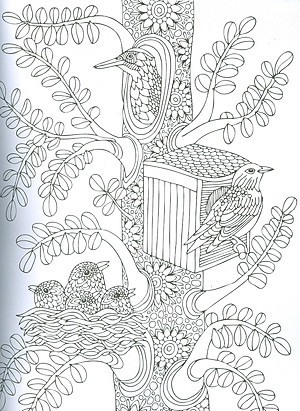 Nature - Adults Colouring Book (Sách tô màu dành cho người lớn: Thiên Nhiên)