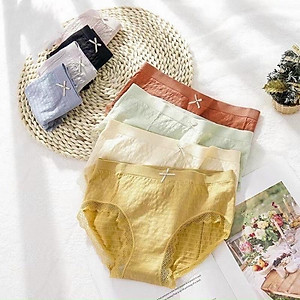 Set 10 chiếc quần lót kháng khuẩn nhăn đẹp ,thông hơi, co dãn 4 chiều cotton mát