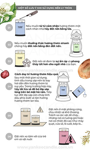 Nến ly tròn sáp đậu nành Yankee Candle size L (567g) - Bayside Cedar