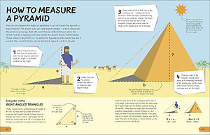 Sách What's the Point of Maths? (Hardback)