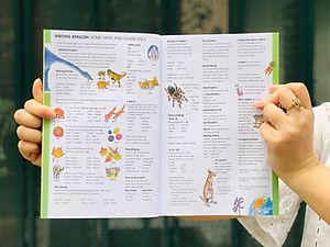 Sách từ điển anh việt - mình hoạ hình ảnh