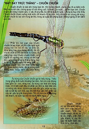 Sách Thế Giới Động Vật Kì Thú - Vườn Côn Trùng