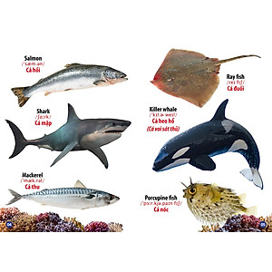 Sách - Từ Điển Bằng Hình Động Vật Dưới Nước (Song Ngữ Đầu Tiên Của Bé)-mk