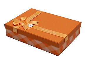 Hộp Quà Chữ Nhật Phượng Hoàng C203 - 27 x 19 x 6 cm - Giao mẫu ngẫu nhiên