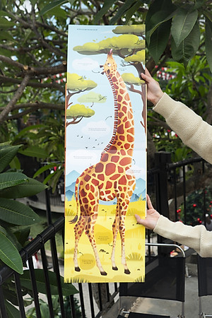 Cuốn sách khổng lồ về động vật hoang dã - Big book of wild animals - Đinh Tị Books