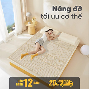 Nệm Cao Su Kim Cương 5 ZONE ALOE