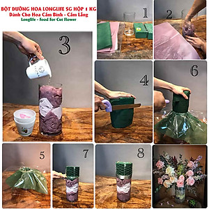Shop Hoa Bảo Quản Hoa Cắm Lẵng, Hoa Cắm Xốp lâu tàn và hạn chế thay hoa định kỳ bằng Bột Dinh Dưỡng Hoa nhập khẩu Israel hiệu Longlife SG Của Israel (Thùng 5KG Bột Dưỡng Hoa Israel)