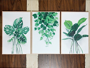 Bộ 3 tranh treo tường trên nền canvas lá cây xanh tươi mát TP0139SS