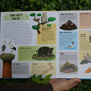 Sách Atlas Động Vật