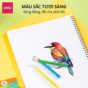 Bút Chì Màu Gốc Dầu Deli - Hộp 12 Màu Chì Học Sinh Chuyên Nghiệp - Màu Sắc Tươi Sáng Không Dễ Gãy - Quà Tặng Cho Bé