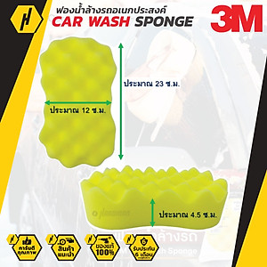 Xốp Bọt BIển Chuyên Dụng Dùng Để Rửa Xe Ô Tô ( Car Wash Sponge ) 3M - Made in Thailand